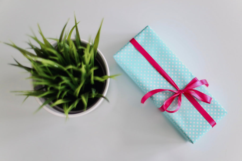 Cool Gifts: Sure To Please